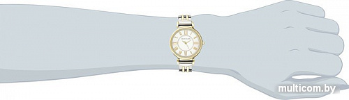 Наручные часы Anne Klein 2159SVTT