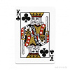 Игральные карты United States Playing Card Company Theory 21 Voyager T1132
