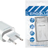 Сетевое зарядное Ergolux ELX-РA01P-C01 ПРОМО