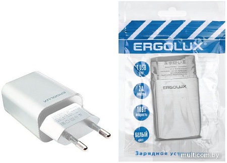 Сетевое зарядное Ergolux ELX-РA01P-C01 ПРОМО