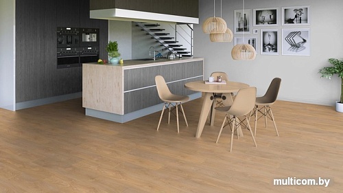 Ламинированный пол Tarkett Navigator Беринг [504415005]