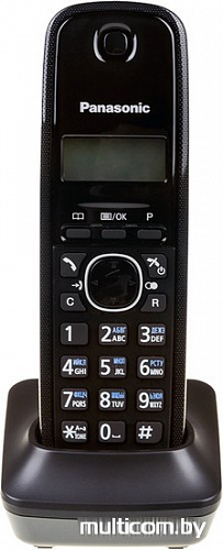 Радиотелефон Panasonic KX-TG1612RUH