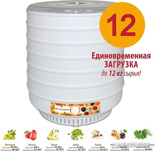 Сушилка для овощей и фруктов Спектр-Прибор Ветерок-2 Люкс (8 поддонов, белый)