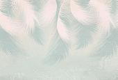 Фотообои Vimala Перья 22 270x400