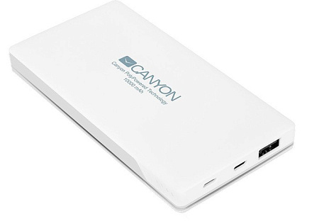 Портативное зарядное устройство Canyon CNS-TPBP10W