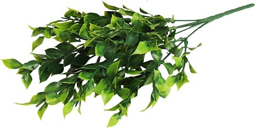 Искусственное растение Forgarden Рускус остролистный BN11123