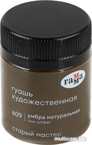 Гуашь Гамма Старый Мастер 609 12112040609 (умбра натуральный)
