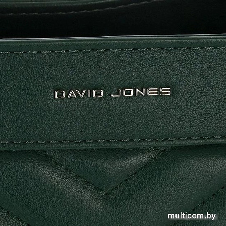 Женская сумка David Jones 823-CM6562-DGN (зеленый)