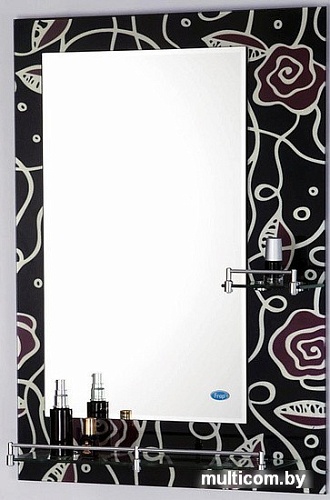 FRAP Зеркало F695