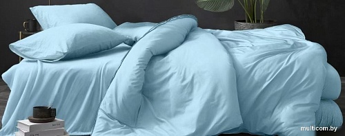 Постельное белье Luxor № Голубой (N) 1.5 (поплин гл/кр)