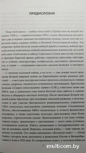 Книга издательства Вече. Большая игра спецслужб в Прибалтике (Крысин М.)
