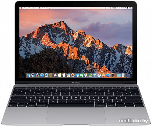 Ноутбук Apple MacBook (2017 год) [MNYF2]