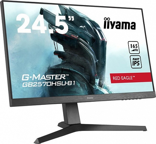 Монитор Iiyama G-Master GB2570HSU-B1