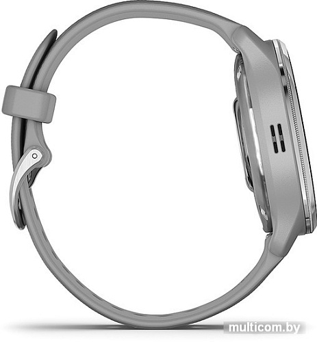 Умные часы Garmin Venu 2 Plus (серебристый/серый)