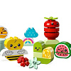Конструктор LEGO Duplo 10984 Органический сад