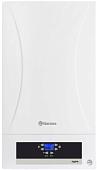 Отопительный котел Thermex Hydra HS 24
