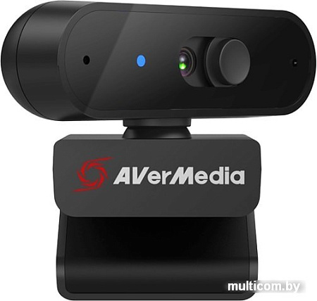 Веб-камера AverMedia PW310P