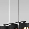Подвесная люстра TK Lighting 4824 Grant Black