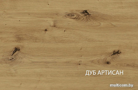Шкаф распашной Anrex Rico 2D (дуб артисан/графит)
