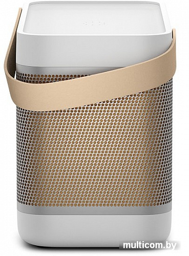 Беспроводная колонка Bang & Olufsen Beolit 20 (серый)