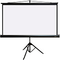 Проекционный экран PL Magna TRM-PC-113D