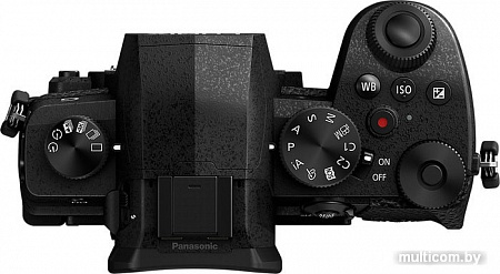 Беззеркальный фотоаппарат Panasonic Lumix DC-G90 Body