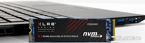 SSD PNY XLR8 CS3040 2TB M280CS3040-2TB-RB