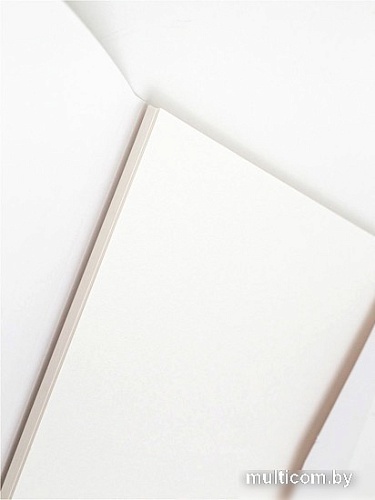 Набор бумаги для рисования Малевичъ 402206 (15л)