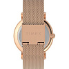 Наручные часы Timex Transcend TW2V52500