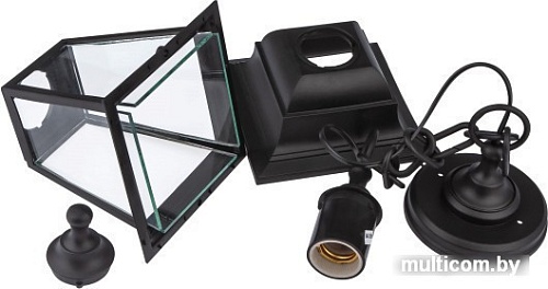 Уличный подвесной светильник ЭРА НСУ 04-60-001 Б0048105