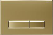 Панель смыва Burke Тип 09 109.GG.1 (матовое золото/золото)
