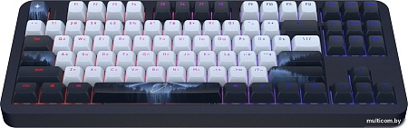Клавиатура Red Square Alumix TKL Classic Serenity (черный, g3ms Aquamarine)