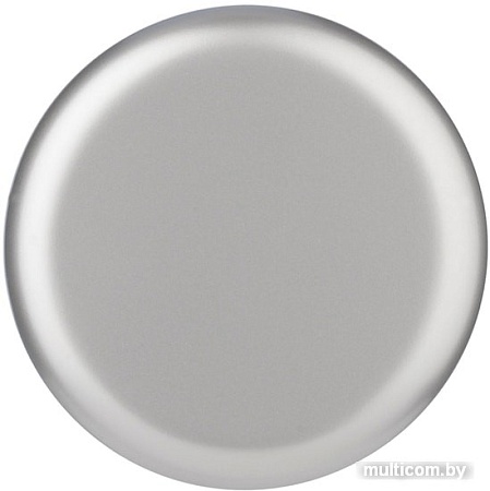 Термокружка Toppoint 98776SV 0.4л (серебристый)