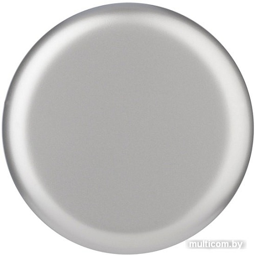 Термокружка Toppoint 98776SV 0.4л (серебристый)