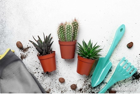 Набор инструментов inGreen IG601012027 (голубой жасмин)