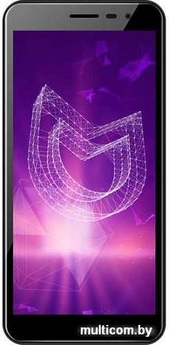 Смартфон IRBIS SP494g (серый)