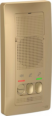 Вызывная панель Schneider Electric Blanca BLNDA000014
