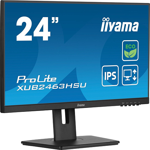 Монитор Iiyama ProLite XUB2463HSU-B1