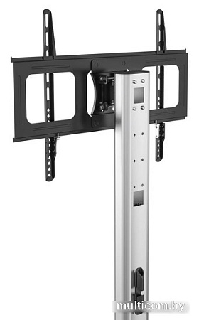 Кронштейн CACTUS CS-VM-ST97-D