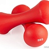 Гантель VictoryFit VF-DN050 5 кг