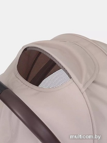 Коляска прогулочная «книга» Rant Action RA301 (beige)