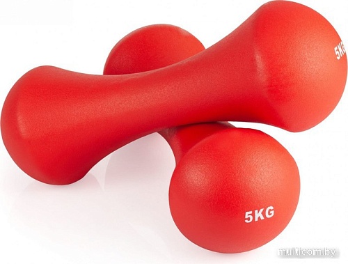 Гантель VictoryFit VF-DN050 5 кг