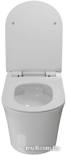 Унитаз White Wave Star (белый глянец)