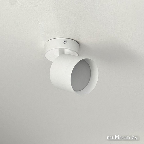 Спот TruEnergy 21027