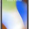 Смартфон Apple iPhone X 256GB (серебристый)