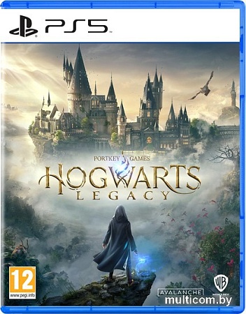 Hogwarts Legacy для PlayStation 5