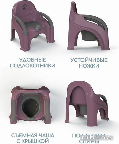 Детский горшок Amarobaby Baby chair AB221105BCh/22 (фиолетовый)