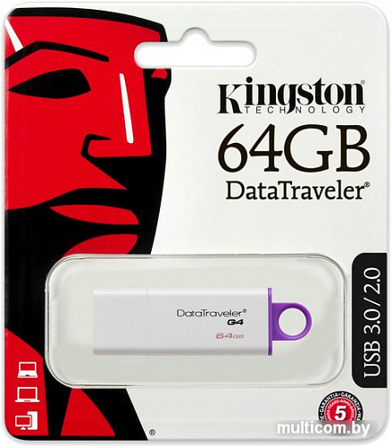 USB Flash Kingston DataTraveler G4 64GB Violet (DTIG4/64GB)