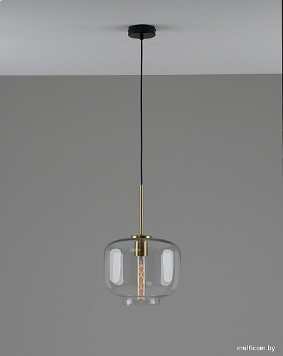 Подвесная люстра Moderli Teen V11531-1P