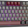 Клавиатура Royal Kludge RK-R87 RGB (черный, RK Red)